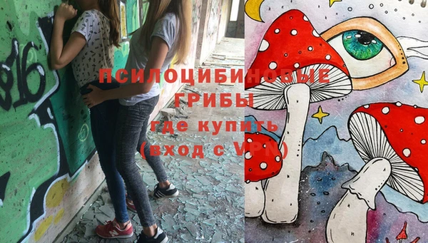 марки nbome Богородицк