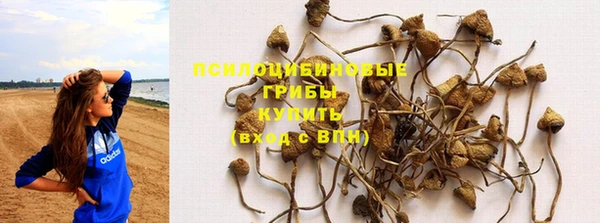 марки nbome Богородицк