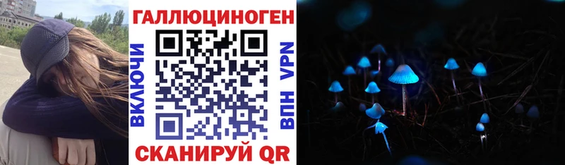 Галлюциногенные грибы Psilocybe  блэк спрут как войти  Дудинка 